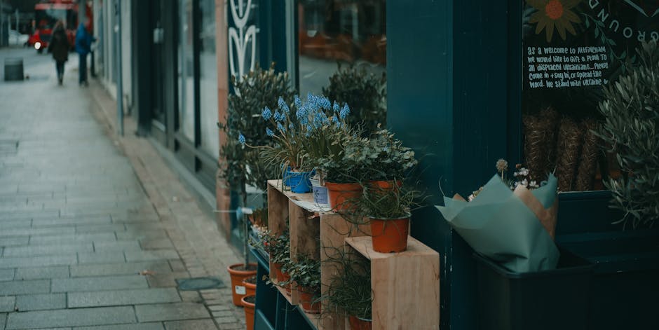 A display of potted flowering plants arranged on wooden shelves outside a flower shop, featuring a variety of blooms in shades of blue, green, and white. The plants are housed in terracotta, blue, and
