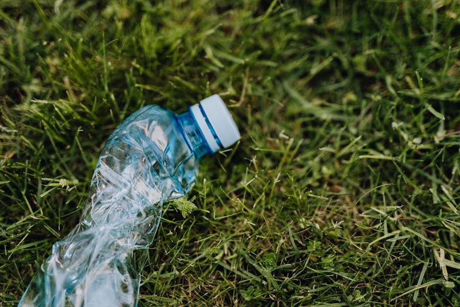 A crumpled, clear plastic water bottle with a blue and white cap lying on a patch of green grass, with small blades and tiny plants visible around it. The bottle appears to be disposed of improperly a